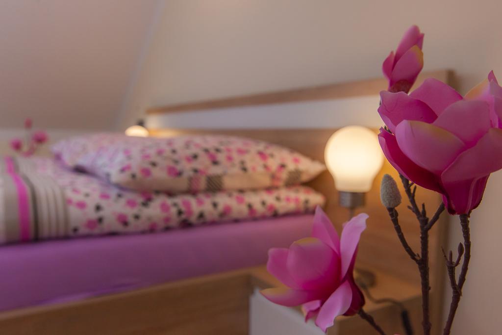 Apartamenty Galeria Jordanowska Extérieur photo