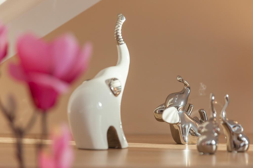 Apartamenty Galeria Jordanowska Extérieur photo